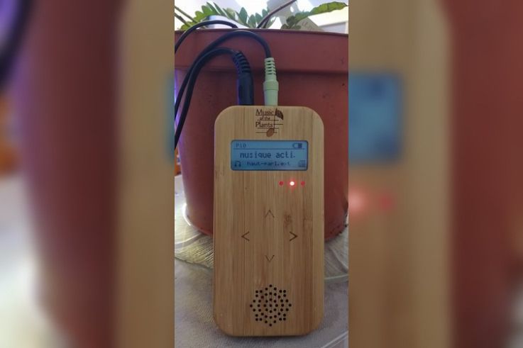 Le centre relaxant H2E et Gîte des Prés de Garnes - bamboo1 2