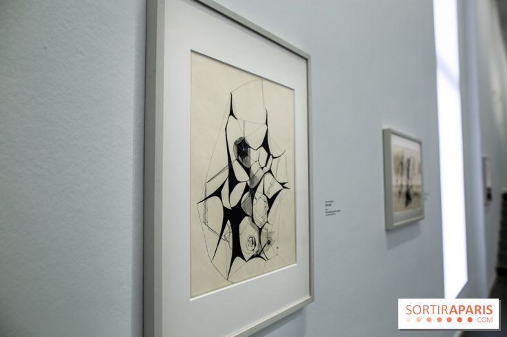 Anna-Eva Bergman, nos photos de l'expo à Paris - IMG 8975