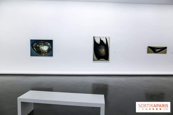 Anna-Eva Bergman, nos photos de l'expo à Paris - IMG 8979