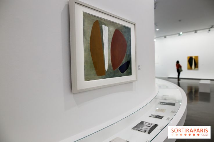 Anna-Eva Bergman, nos photos de l'expo à Paris - IMG 8983