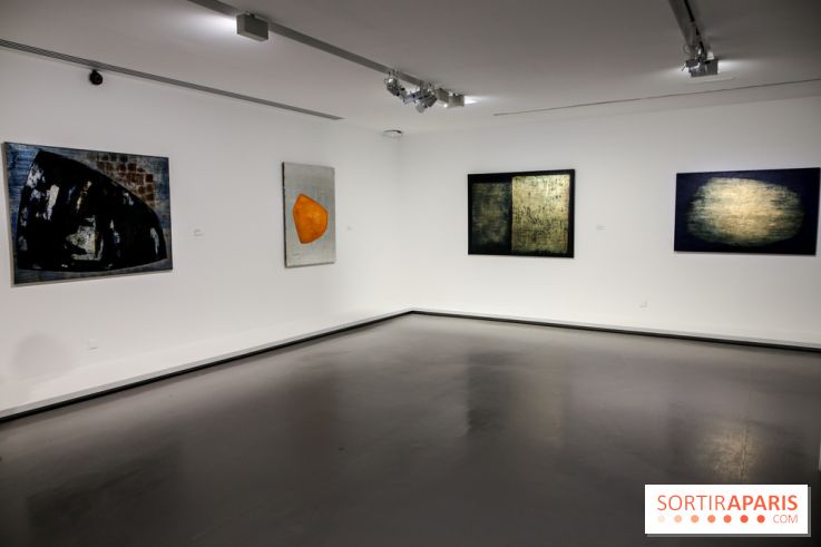 Anna-Eva Bergman, nos photos de l'expo à Paris - IMG 8992