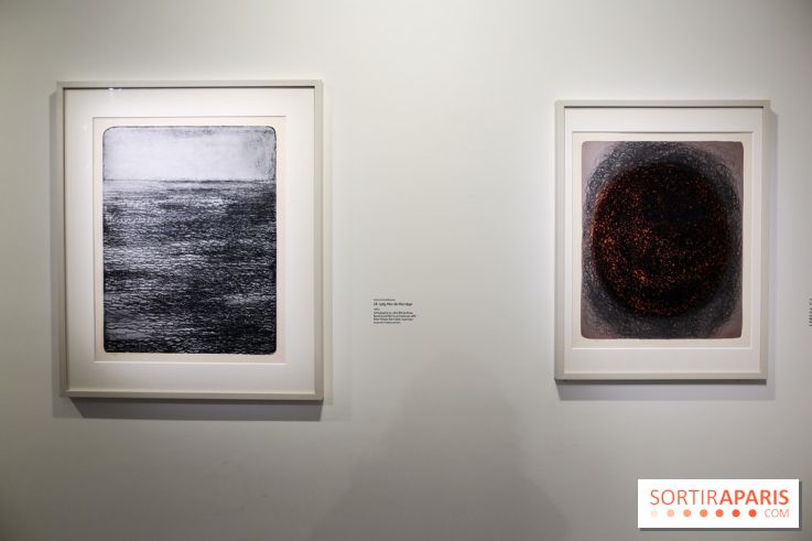 Anna-Eva Bergman, nos photos de l'expo à Paris - IMG 8997