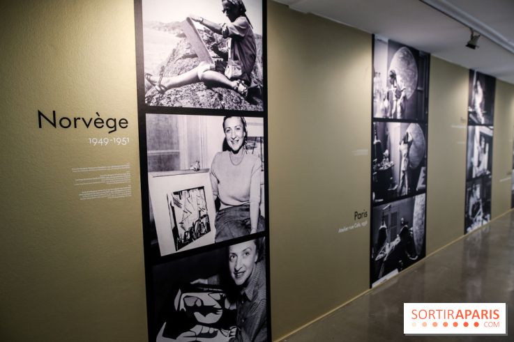 Anna-Eva Bergman, nos photos de l'expo à Paris - IMG 8999