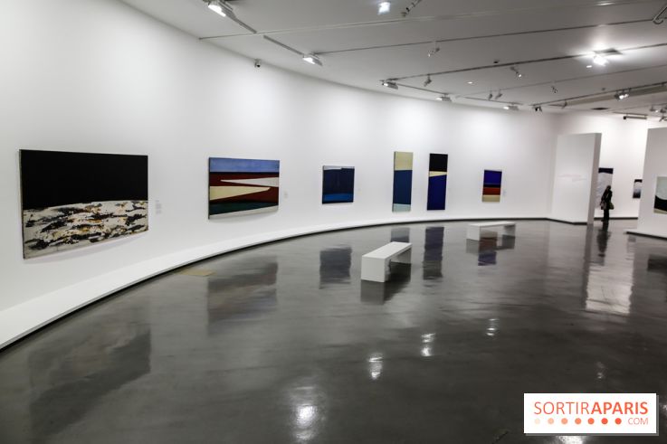 Anna-Eva Bergman, nos photos de l'expo à Paris - IMG 9003