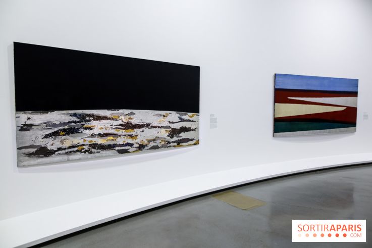 Anna-Eva Bergman, nos photos de l'expo à Paris - IMG 9012