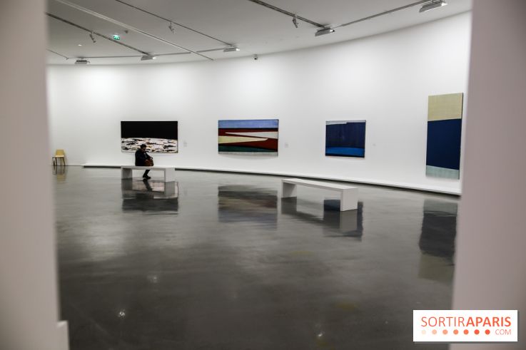 Anna-Eva Bergman, nos photos de l'expo à Paris - IMG 9021