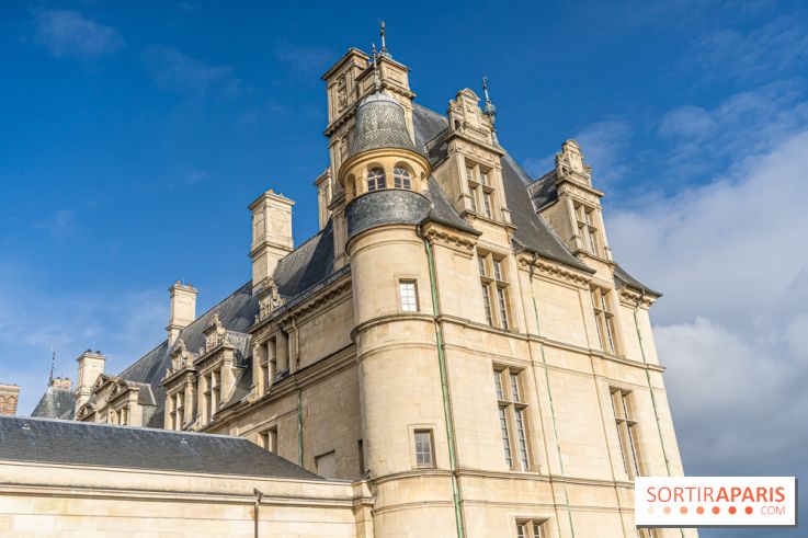 Château d'Écouen - Musée national de la Renaissance  -  A7C8376