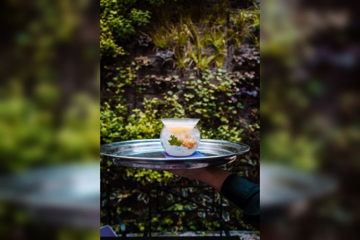 Le Wilde's Bar de L'Hôtel Paris à Saint Germain des Près  - 686eceb0 4cfa 4c89 a7c5 f780e92edb78