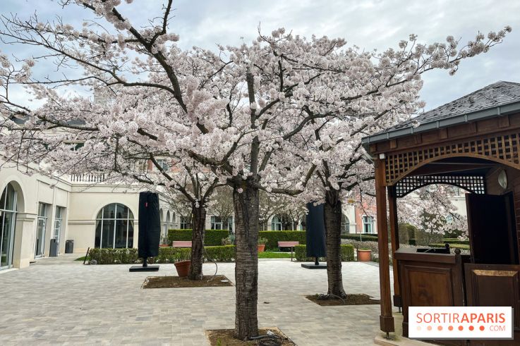 Dream Castle Hôtel, le 4**** familial à côté de Disneyland - C537F219 0AFE 440D ACF1 6CF74EC031AE