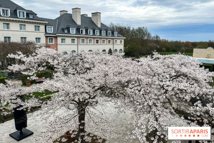 Dream Castle Hôtel, le 4**** familial à côté de Disneyland - DF1D65F8 045F 4FB6 916A B951B8CA8D26