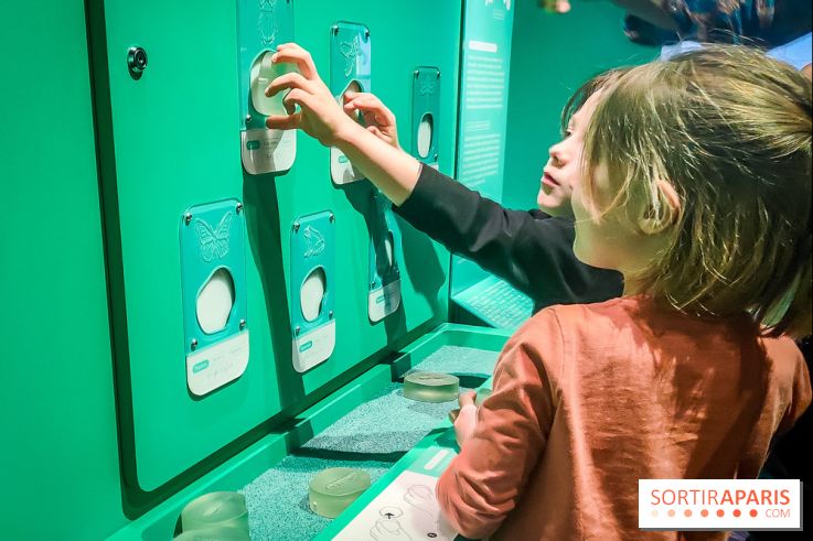 Métamorphoses, l'exposition poétique à découvrir à la Cité des Sciences et de l'Industrie  - IMG20230405144226