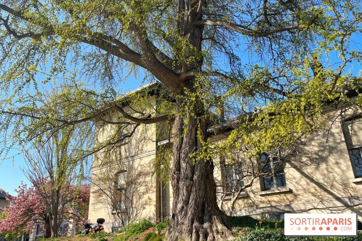 Le Jardin des Serres d'Auteuil - IMG 1492