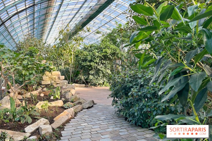 Le Jardin des Serres d'Auteuil - IMG 1529