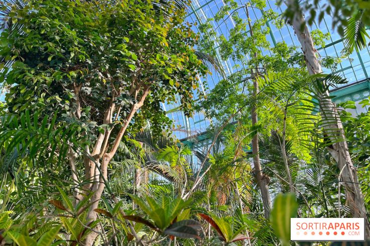 Le Jardin des Serres d'Auteuil - IMG 1552