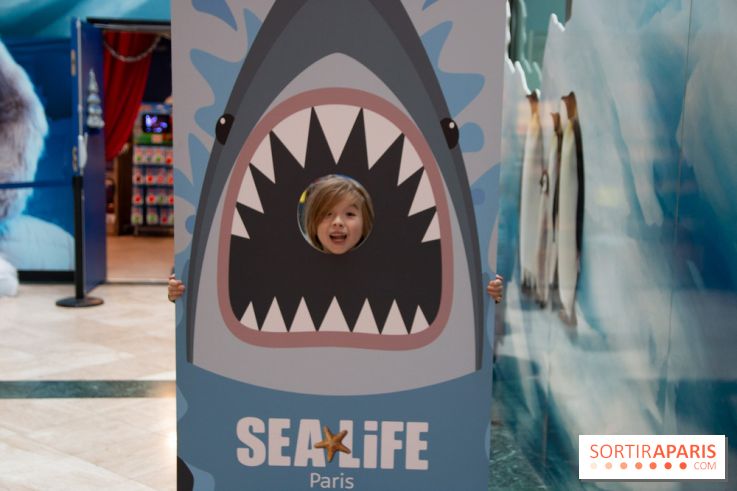 Aquarium Sea Life - IMG 8409