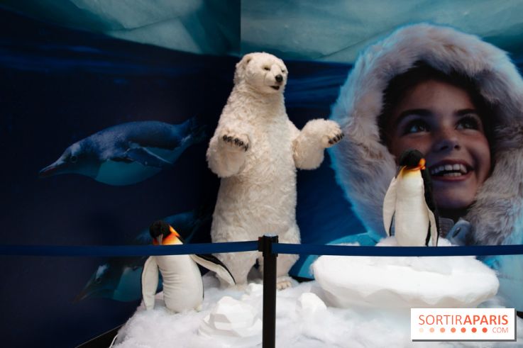 Aquarium Sea Life - IMG 8402