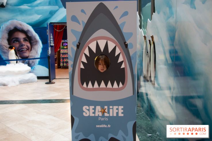 Aquarium Sea Life - IMG 8403