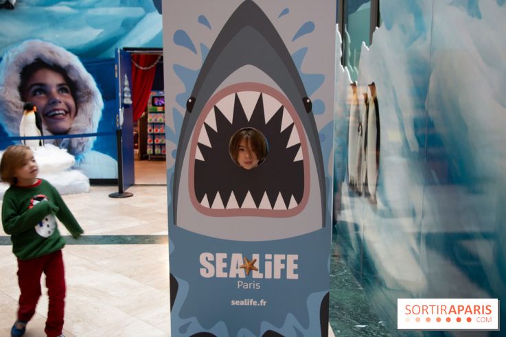 Aquarium Sea Life - IMG 8404