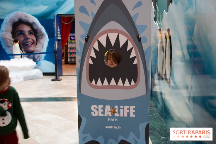 Aquarium Sea Life - IMG 8406