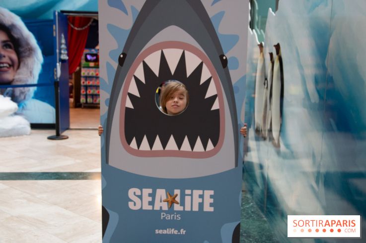 Aquarium Sea Life