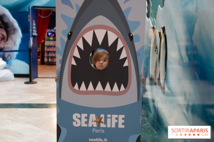 Aquarium Sea Life - IMG 8408