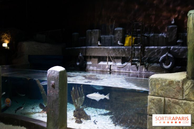 Aquarium Sea Life - IMG 8389