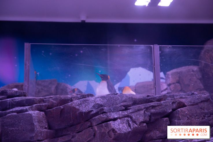Aquarium Sea Life