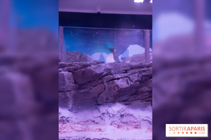 Aquarium Sea Life - IMG 8393