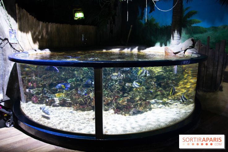 Aquarium Sea Life - IMG 8374