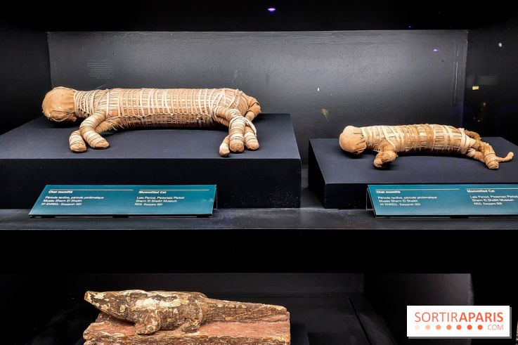 Ramsès et l’or des pharaons, nos photos de l'expo - 20230406 093858