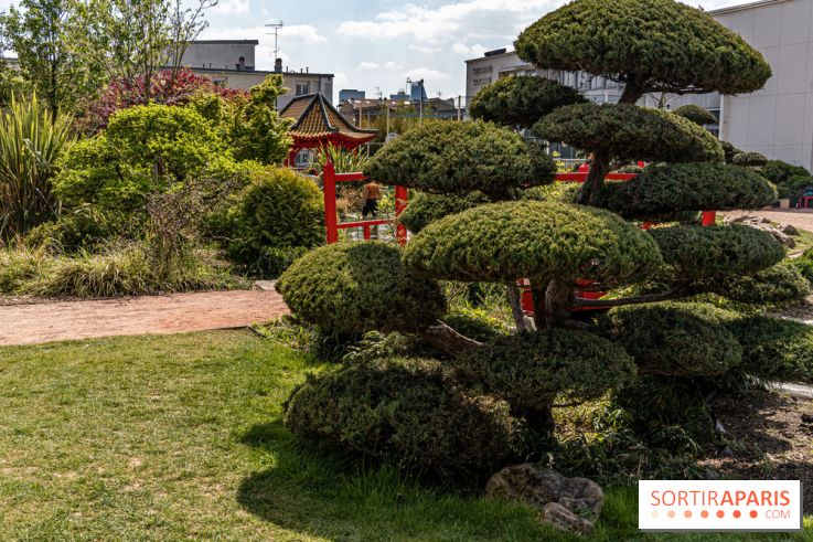 Square Médéric Colombes - jardin japonais 92 -  A7C9944