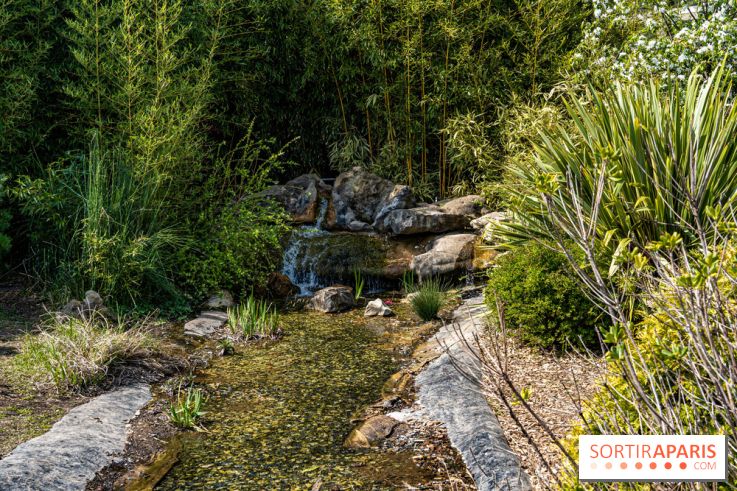 Square Médéric Colombes - jardin japonais 92 -  A7C9951