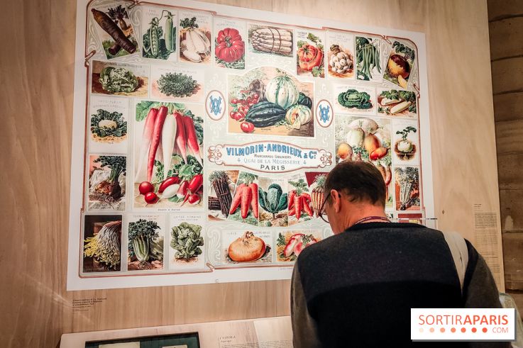 Paris, capitale de la gastronomie : l'exposition qui nous donne faim à la Conciergerie - photos - IMG20230412104651