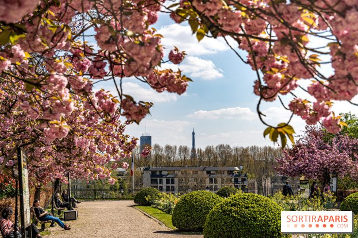 Parc de Bécon à Courbevoie - Pavillon des Indes - Cerisiers en fleurs