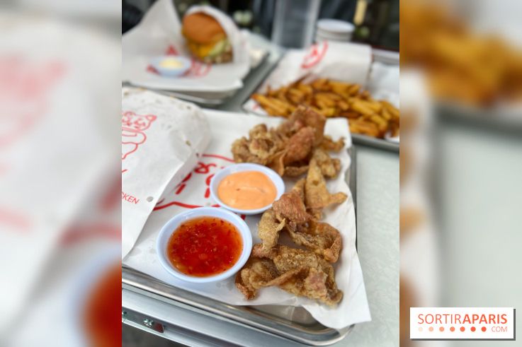 Mao Fry - Peaux poulet frites