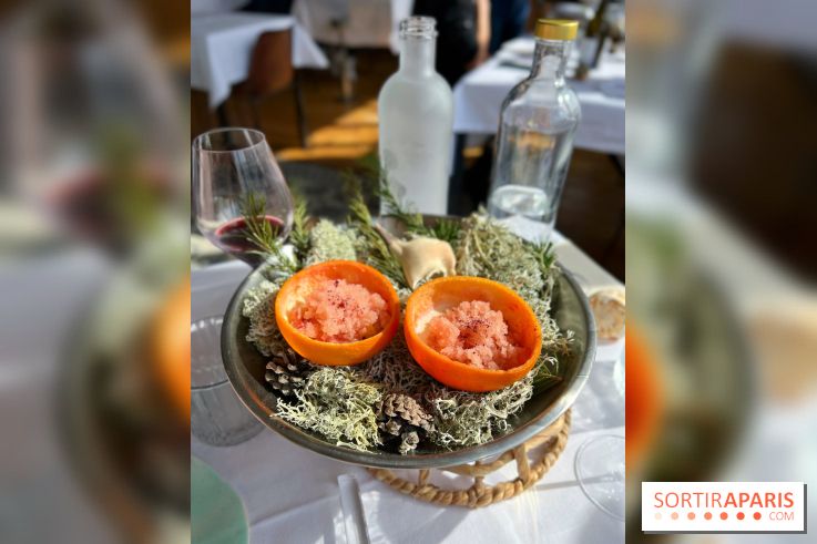 Alice Arnoux au Perchoir Ménilmontant - Pomelo et araignée