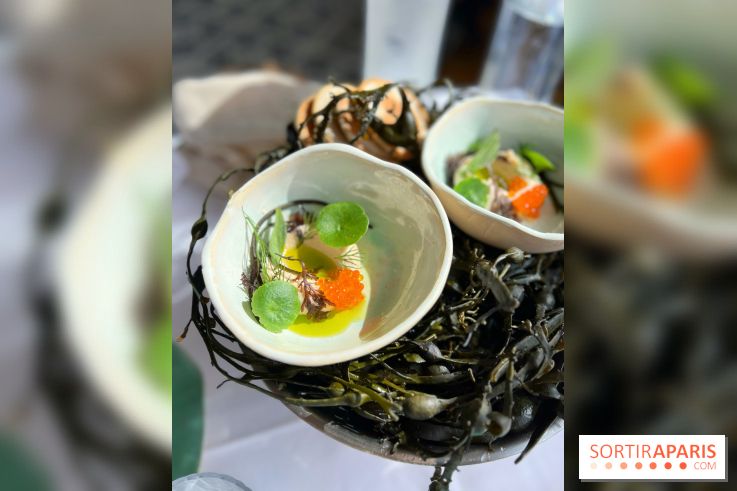 Alice Arnoux au Perchoir Ménilmontant - Tarama