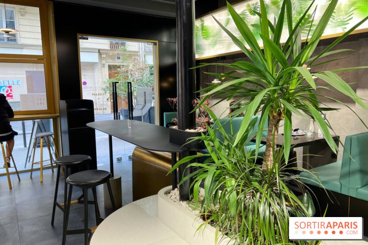 Tea Space - Décoration