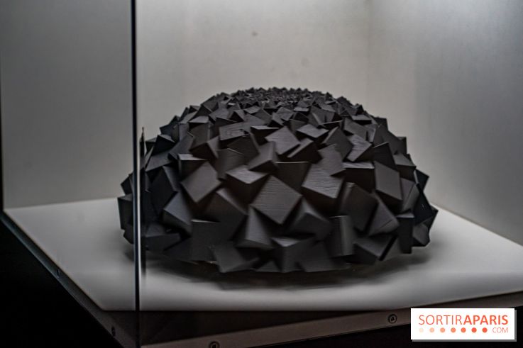 Paradox Museum Paris - les photos -  A7C0701