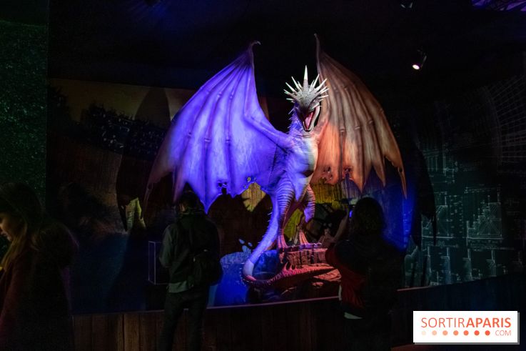 Harry Potter l'exposition dragon