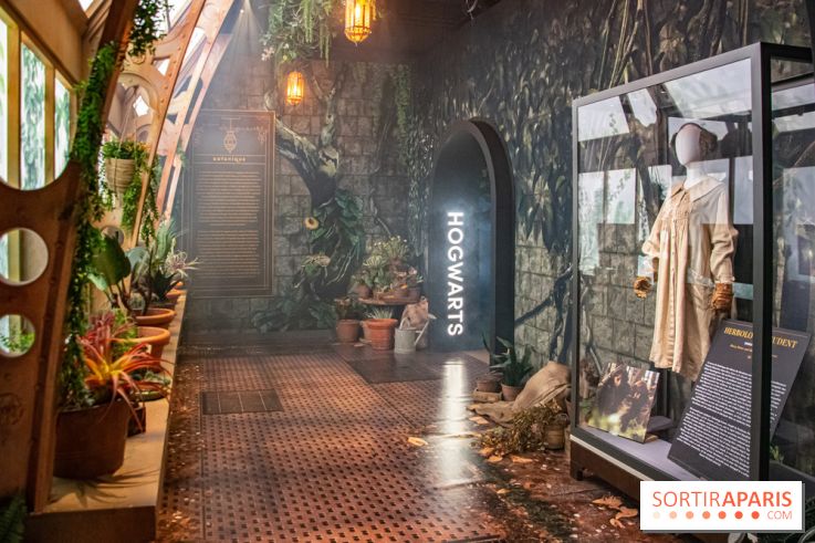 Harry Potter l'exposition cours de botanique