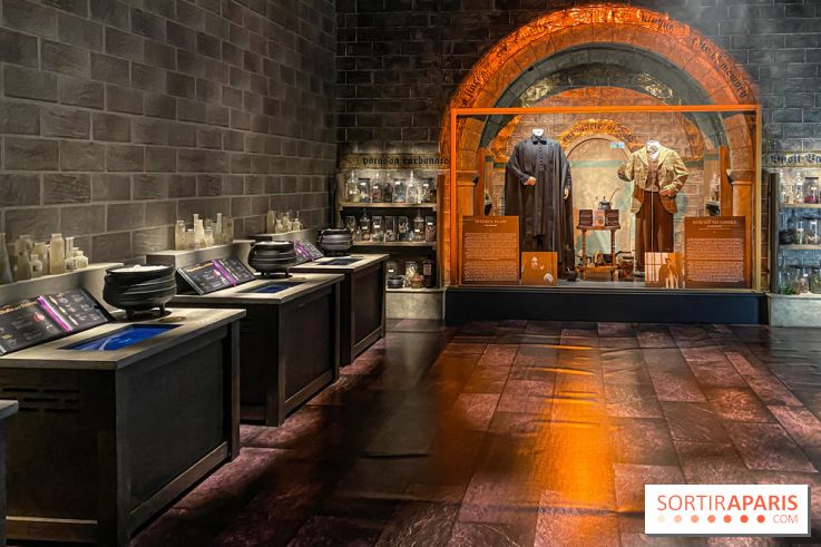 Harry Potter l'exposition cours de potions