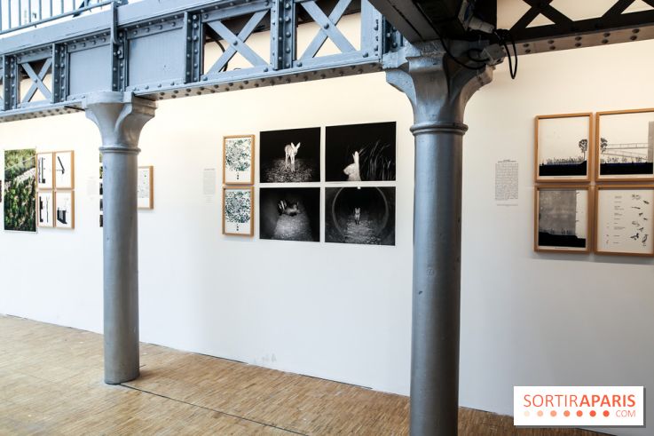 Paris Animal, nos photos de l'expo à Paris
