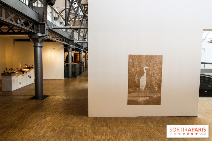 Paris Animal, nos photos de l'expo à Paris