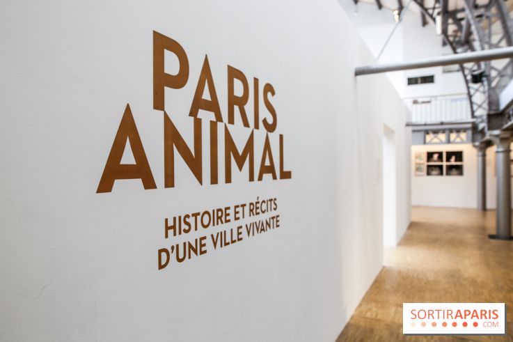 Paris Animal, nos photos de l'expo à Paris