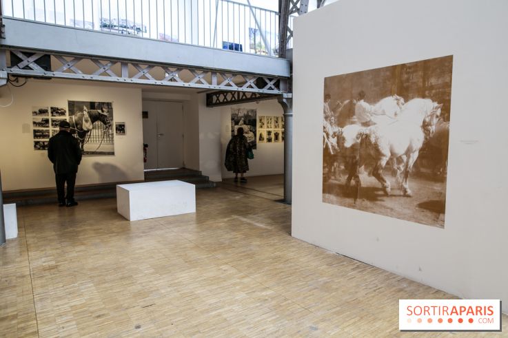 Paris Animal, nos photos de l'expo à Paris