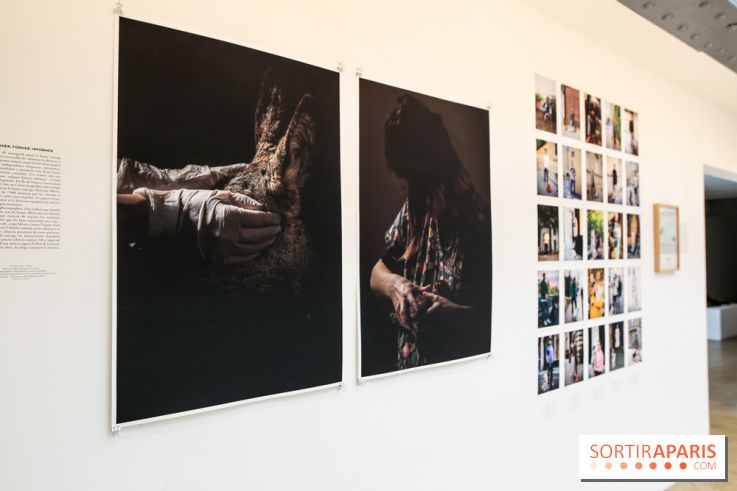 Paris Animal, nos photos de l'expo à Paris
