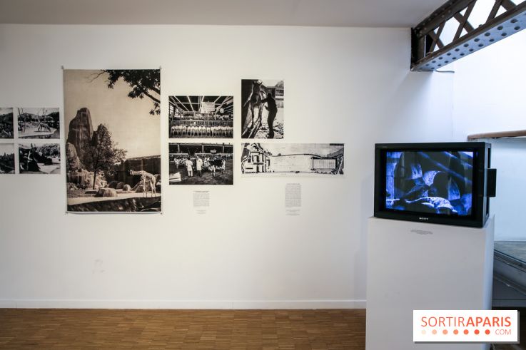 Paris Animal, nos photos de l'expo à Paris