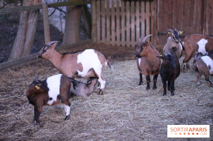 ferme de Gally