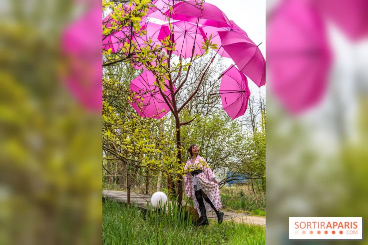 Le Moulin jaune - Hanami 2023 -  A7C1670